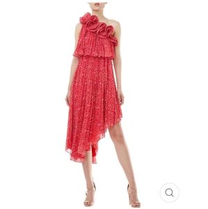 NWT Amur Carole Dress.